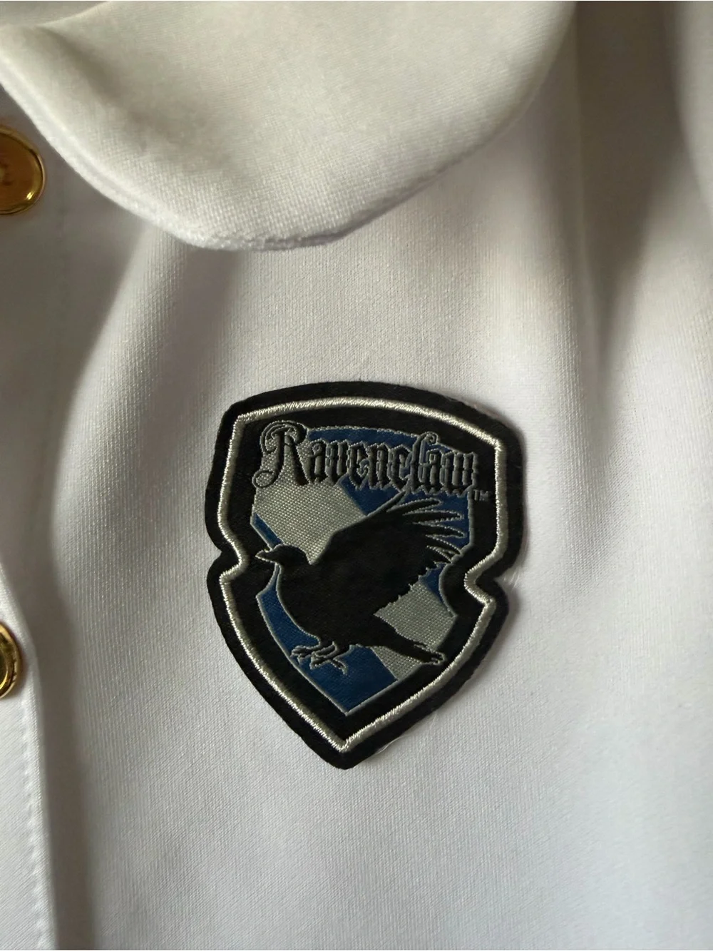 Spirit Harry Potter Wizarding World Ravenclaw Hogwarts Dress Costume Sz L 10/12